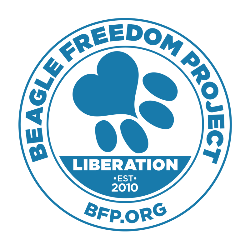 Beagle Freedom